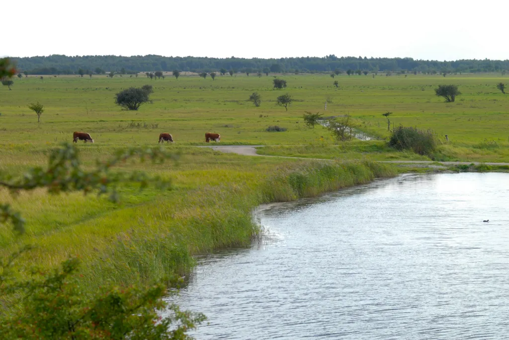 Lake and ditch at Storehoej, Amager - The area is very rural in spite of being only 15 minutes away from the Copenhagen center