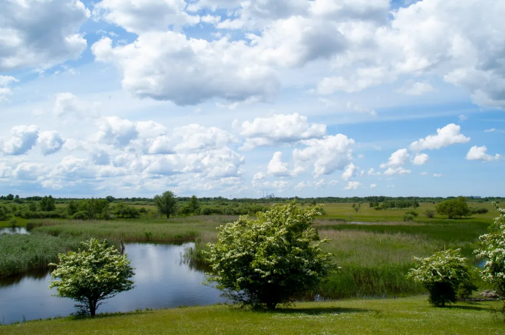 Lake by Storehoej on Amager - The fishing is free and fairly accessible. The area and the lake is reachable by Metro (subway) and a short walk