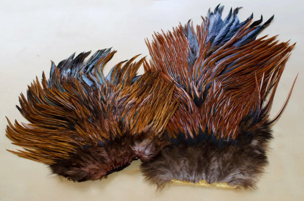 Furnace rooster saddles - These two saddles show why you need to hand pick. They are both furnace rooster saddles in the same grade and price range, but obviously very different in size as well as color.