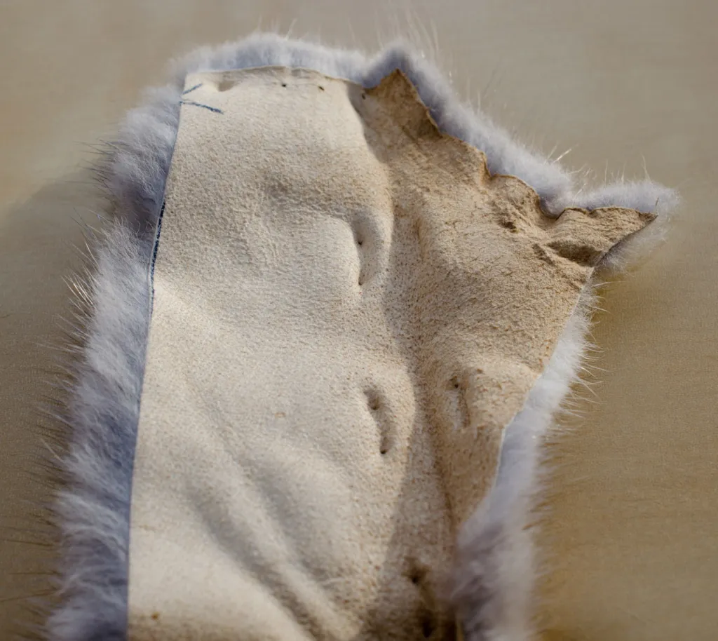 Skin side - The skin side of this mink strip reveals that it has been stapled for some reason. The hair isn\'t damaged, but the skin isn\'t suited for zonker strips.