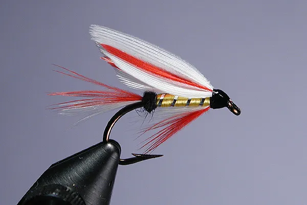 Parmachene Belle - One of the most famous of all the "Bergman" wet flies. The Parmachene Belle is named after Parmachene Lake in Maine, USA. The first time I ever saw a real one was when a friend in Nova Scotia sent me some in a swap, telling me how he used them when fishing for sea run brookies. How cool is that?