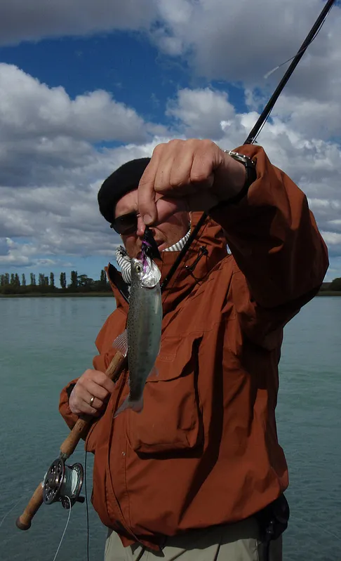 Patagonias famous trout -
