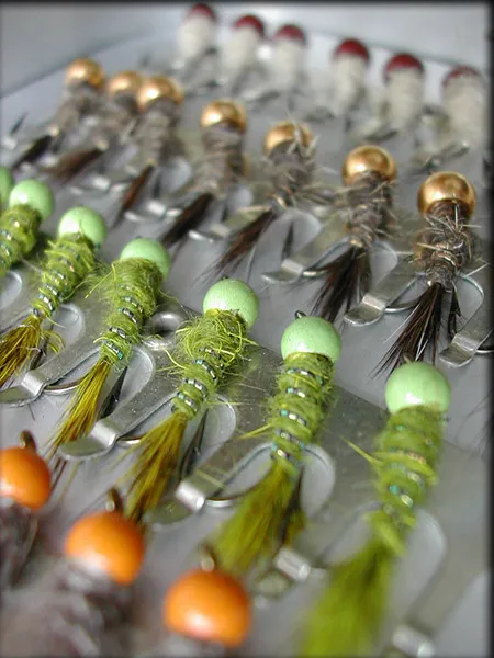The nymph perspective -