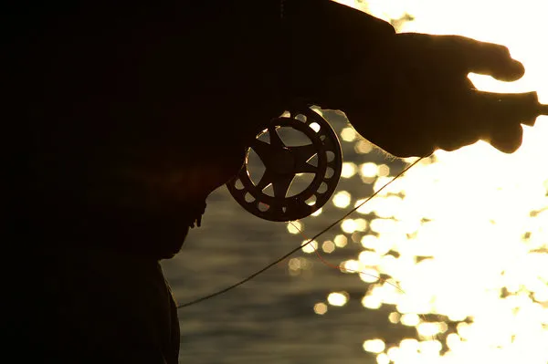 Close profile - Going for details can be a way of getting some really nice pictures. Reels and hands are always good subjects