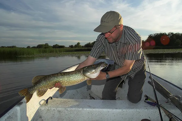 Focus on the fish - Sometimes it works well if the angler looks at the fish, other times a broad smile and eye contact works well.
