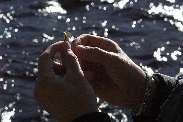Getting the caddis ready - Caddis flies of different kinds were quite good to us. Grayling will rise willingly to even big flies.