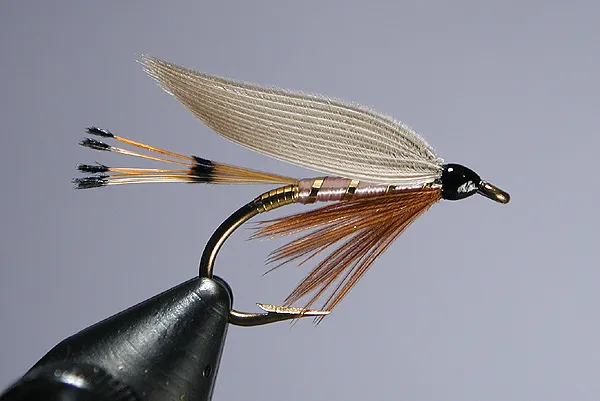Pink Lady - One of my favorites of the lot. This pattern also makes for a beautiful dry fly. There are not many patterns that incorporate pink into their recipe without being gawdy.