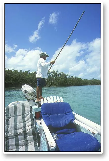 Poling - A job well done: Severro poles the boat in the mangroves over the bonefish flast on the lookout for fish.