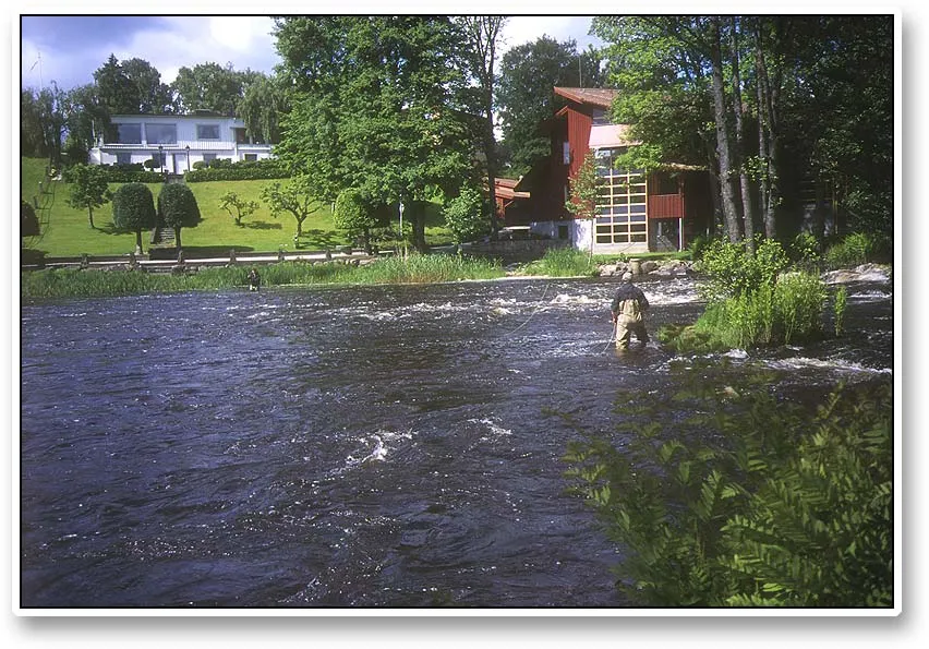 Pool 1 - Fishing pool 1 can be a strange experience. The pool is located in a park like environment. Fishers are sometimes countless as are spectators. The Salmon\'s house (Laxens Hus) is seen right in front of me (to the right), and locals and tourists are constantly walking by.<BR>But... the pool still has its attractions: it is the most productive pool in Mörrum, responsible for many large trout every year.