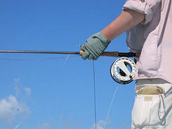 Heavy gear - Big fish require tough equipment. A class 12 Scott Heliply rod and a Lamson/Waterworks reel built for hauling cars out of ditches loaded with a Rio 400 grains sink tip line.
