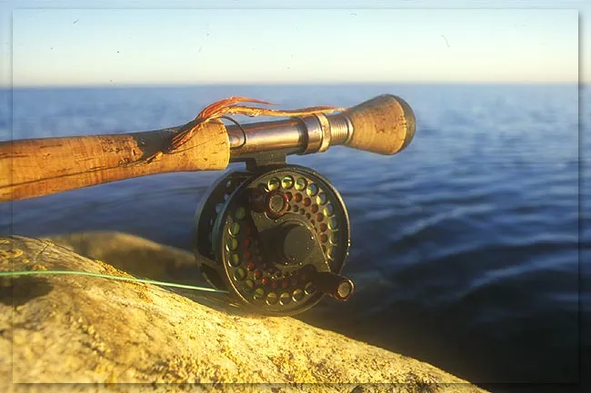 Rod, reel and fly - A 7-9 weight rod, a sturdy reel and some large, colorful flies and you are set for some great fun! Pike fishing in the salt is something special.