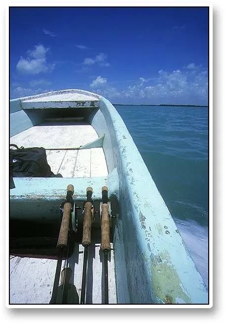 Rods - Rods wating for action. You always keep rods ready for whatever might accur. These are two bonefish rods and one for tarpon, but on many occasions a rod rigged for permit would have been welcome too.