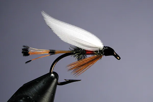 Royal Coachman - One of the most famous flies of all time, whether the upwing dry fly, or the quill winged wet fly as shown here. This combination of materials has been used in a million different ways to catch all sorts of fish. A true timeless classic.