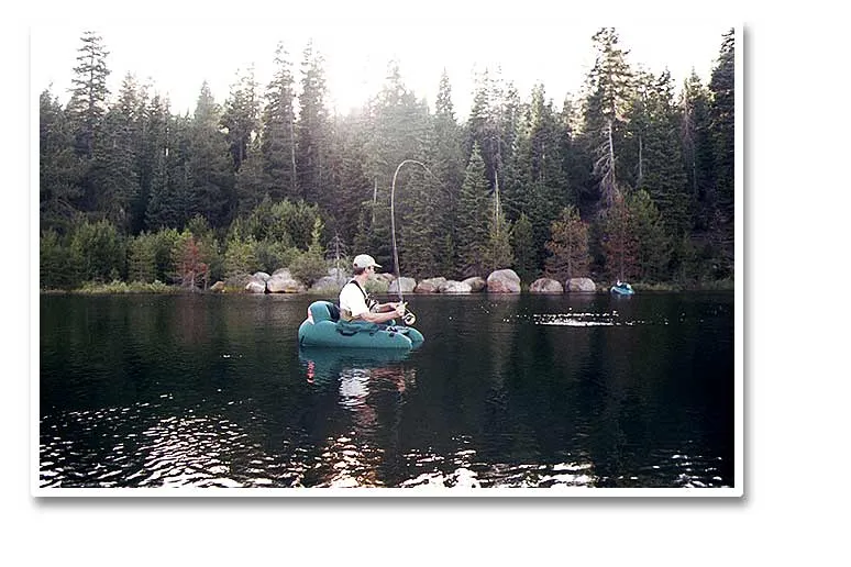 Fight - Martin fighting a dire rainbow on the quiet Sawmill Lake