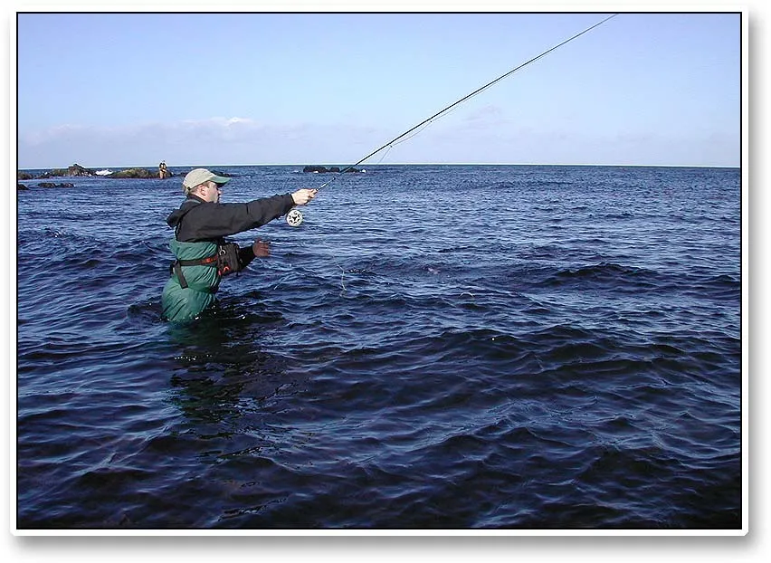 Sean casting - Sean casting as he never did anything else. This is in fact his 10th cast or so in a very different type of water with a very different type of gear.
