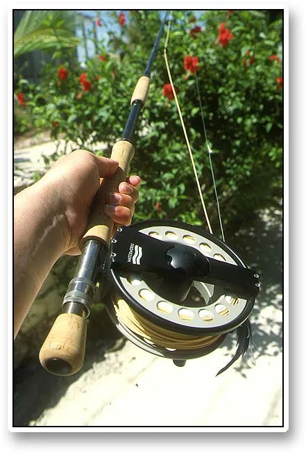 Heavy gear - A monster of a rod with a monster of a reel. The Sirrus 12 wt. 9 foot that managed to lift sharks from the bottom. Here equipped with a more-than-adequate Waterworks reel as large as they come.