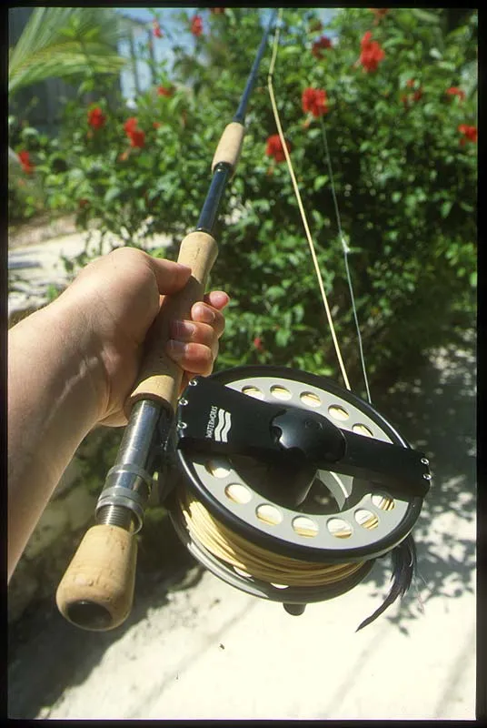 With a really large reel - An almost intimidating setup: the Sirrus 12 wt. rod mounted with a Waterworks Lamson ULA reel in a really, really large size.