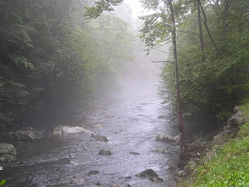 Misty river - Another misty view of the Sirvinta