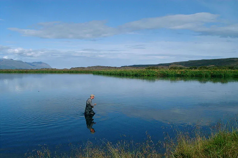 Risers - In calm periods we would see planty fish rise on smooth surfaces like this. They were not easy - but neither impossible - to get to take a dry fly.