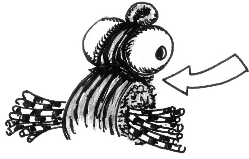 Step 10 - Thorax - Tie the Swiss straw over the thorax and over the eyes just to the hook's eye, returning it again to the "neck" where it is secured with thread. Cut the excess of Swiss Straw and make a whip finish with your thread. Apply a small drop of Flexament to finish your fly.
