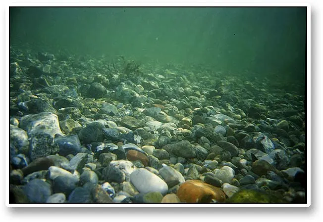 Stony bottom - Typical stony bottum in mild spring light.