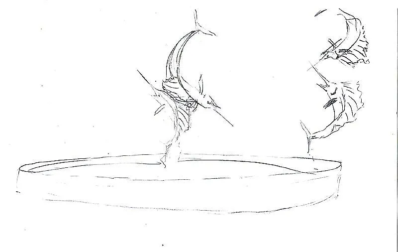 Study of sailfish - Sketches made in preparation for a statue