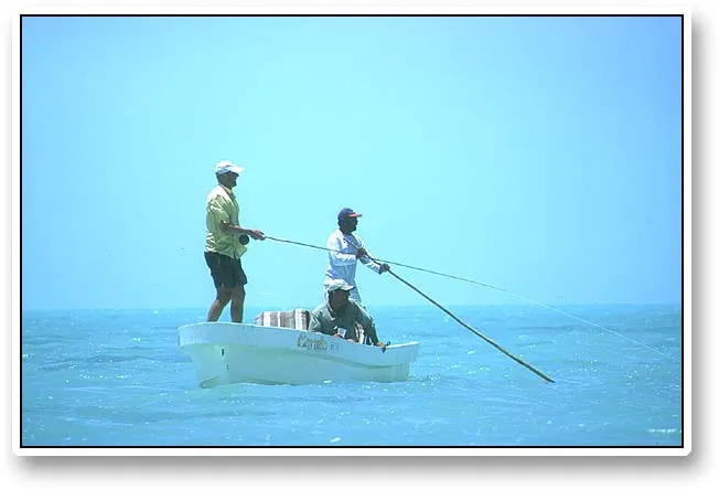 Typical setup - The typical tarpon setup: one person fishes (or rather waits to fish), one rests and may help spotting fish and the guide constantly works, spotting, poling and keeping the boat in an optimal position for the fisher.