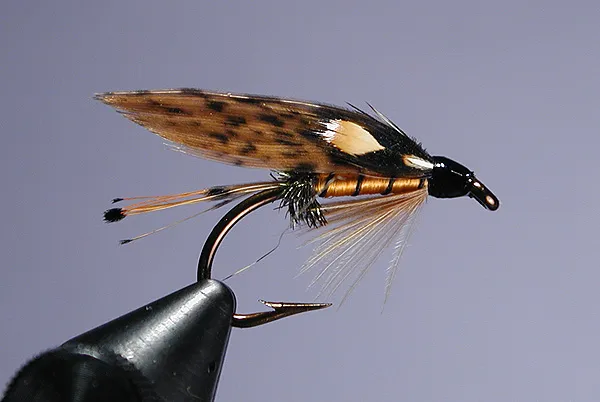 Telephone Box - Here again I made use of speckled hen wing quills in place of the traditional mottled turkey. Don't they look nice? This is a real pretty fly. Not flashy, but certainly not dull by any means.