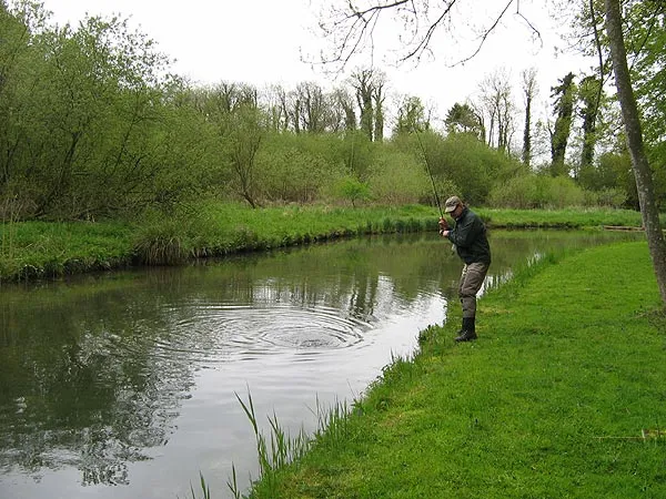 Trimmed - Paul into a fish from the trimmed banks of the Test. The trees are cut and the grass is mowed along the banks of this very beautiful river - just to make fishing easier.