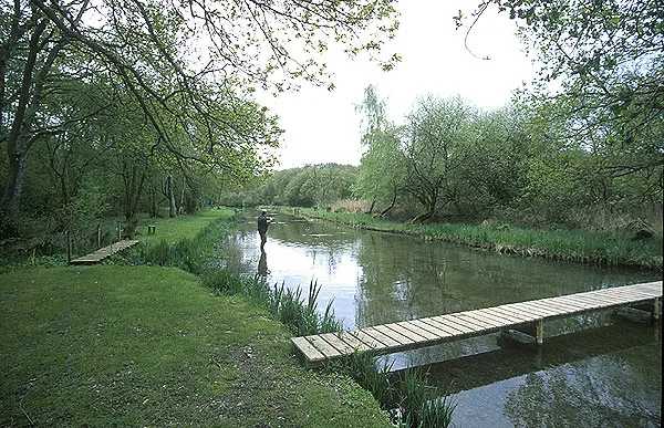 Nicely kept - Typical beat on the Test: short grass, paths, bridges. All for your convenience, Sir!