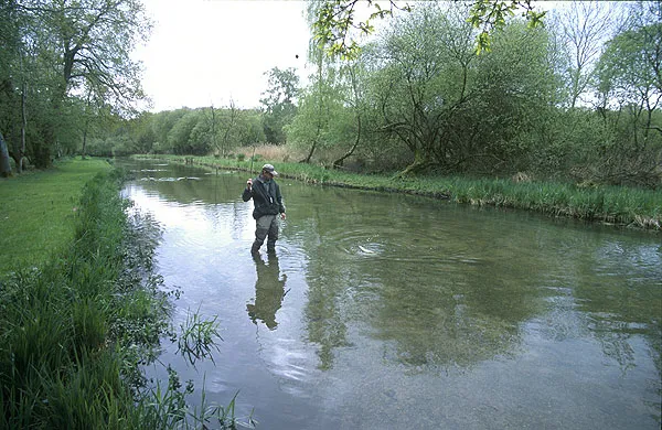 Not that easy - It might seem very trimmed and easy, but trust me: spooky fish, clear, shallow water and more trees than it looks like can make it quite challenging to fish the Test.
