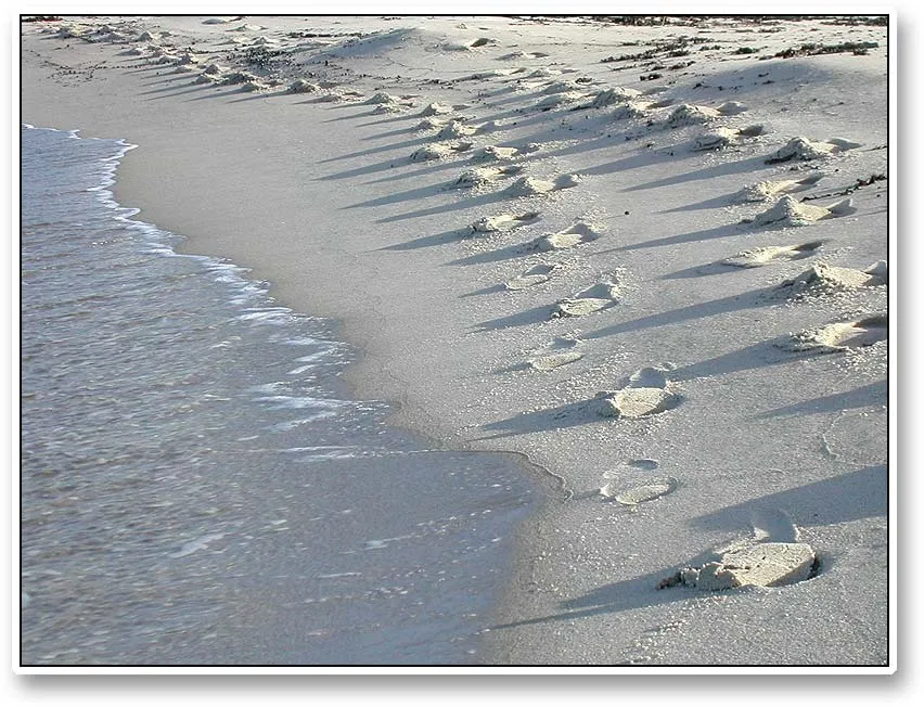 Tracks - Our tracks in the sand cast long shadows in the late afternoon. A few waves and they are gone - as are we after a long, fruitless fishing day.