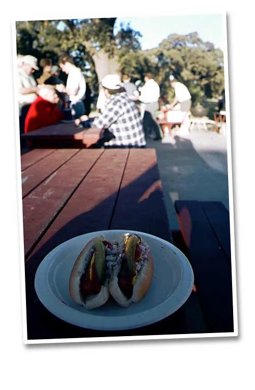 Hot dogs - Hot dogs at the Tracy Fly Fishers