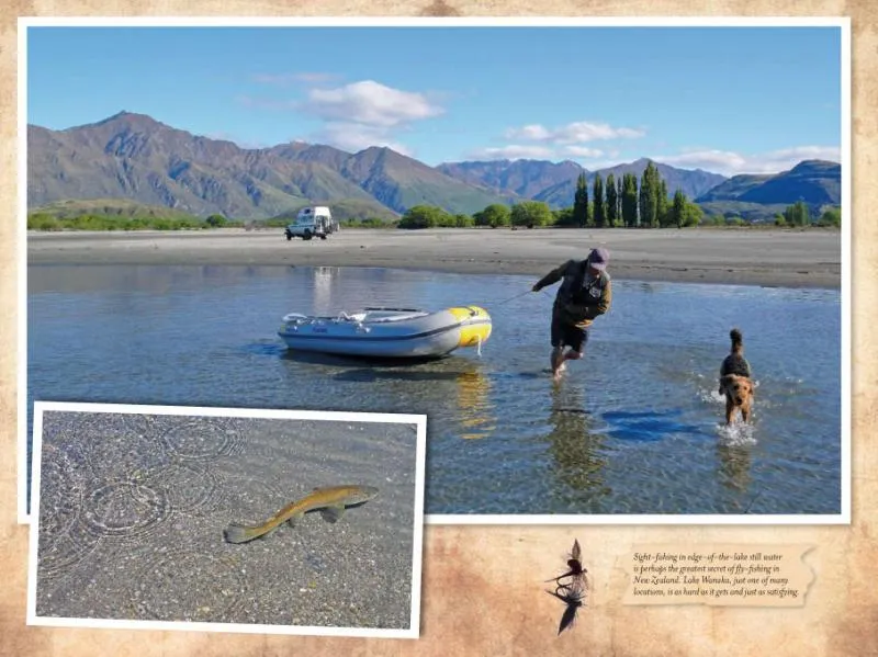 Pictures from the book -