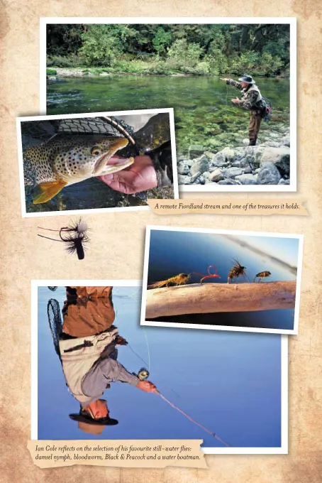 Pictures from the book -