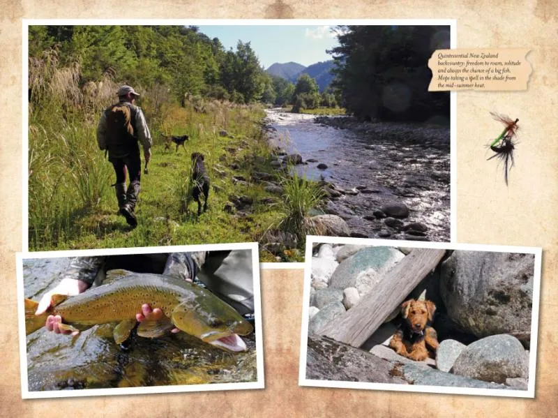 Pictures from the book -