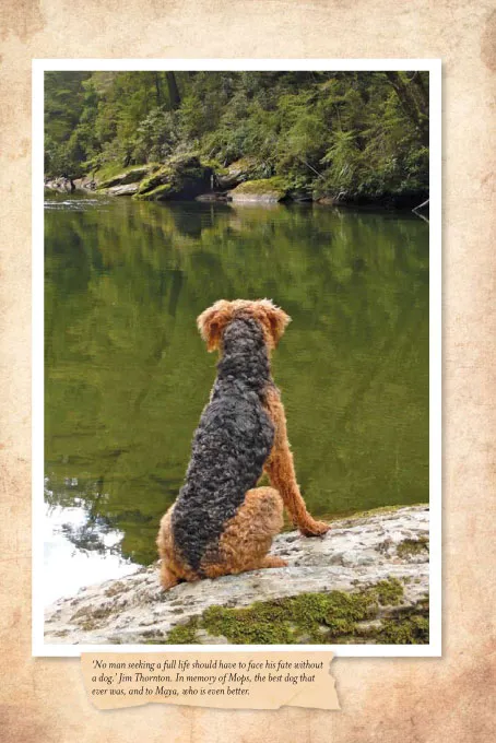Pictures from the book -