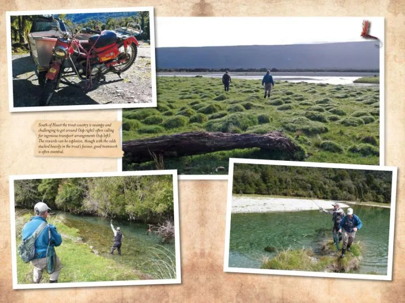 Pictures from the book -