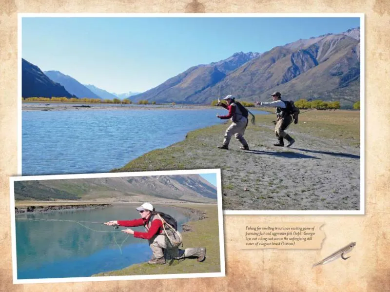Pictures from the book -