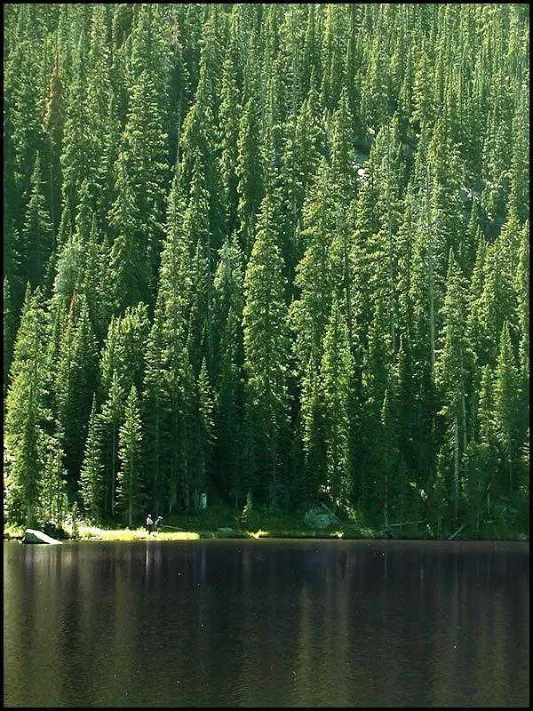 Two in the distance - Kasper and Martin located in the distance pursuing the small Greenbacks in the Rockies lake.