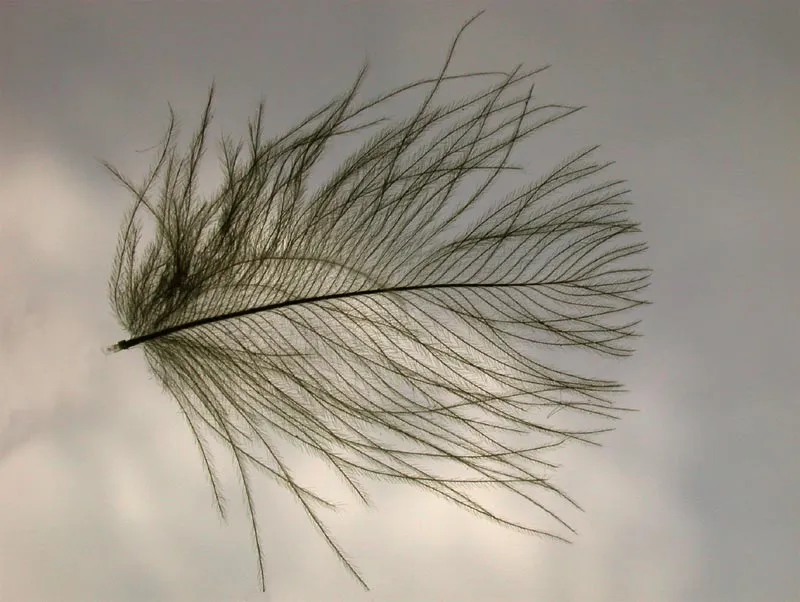 Type 1 -