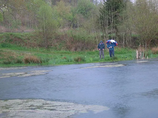 Rain-bows! - That must be why they are called rain-bows, the fish that Charlie stocks in his secret lake. Notice the umbrella - standard equipment for fishing in Wales.