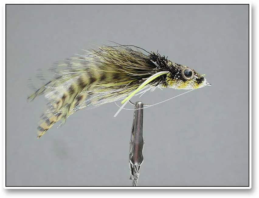A bass bug - Nikon 995, ý size
