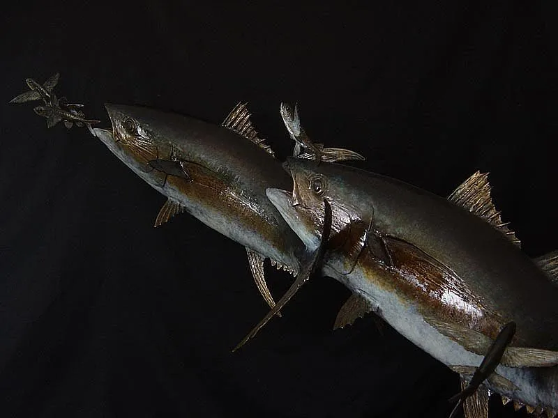 Yellowfin Tuna and flying fish -