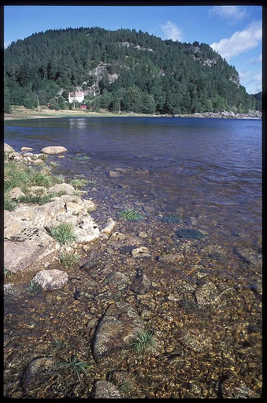 The pool - This large lake-like pool was located just below a rough fall. Such a place is a typical holding place for fish waiting to pass the rapids, and true enough: we saw many jumping fish in that lake.