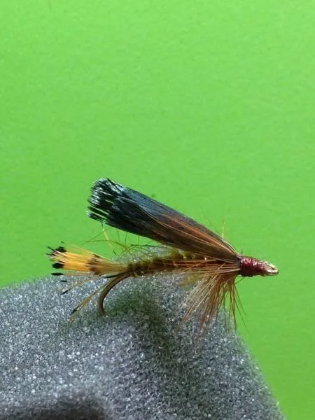 User submitted picture: This is a picture of my ...