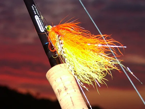 User submitted picture: This is an 6/0 orange whi...